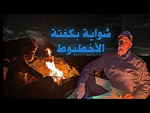 مشينا ضربنا احسن وليمة كفتة الاخطبوط مشوية