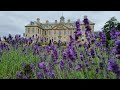 Exploring National trust Belton House and Gardens in Grantham