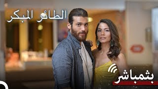 مسلسل الطائر المبكر كل الحلقات 7/24 #بث_مباشر