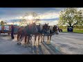 Leola Amish Produce Auction Fall