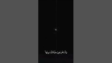 وَمَا يَسْتَوِي الْبَحْرَانِ | محمد أيوب | سورة فاطر