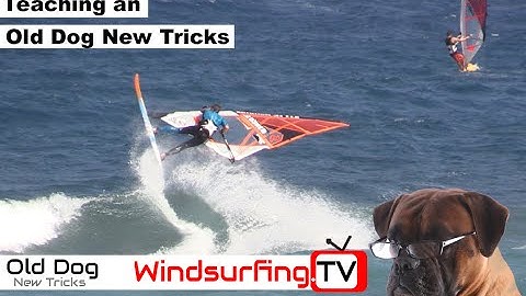 Old dog New Tricks - Shifty