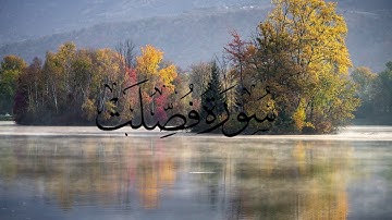 سورة فصلت قراءة عذبة وهادئة من القارئ أسامة صالح