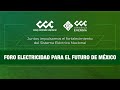 ELECTRICIDAD PARA EL FUTURO DE MÉXICO