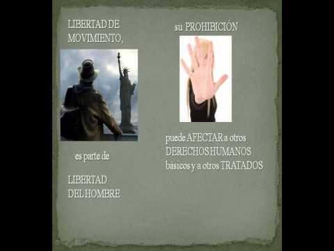 El artículo 13 de los Derechos Humanos - YouTube El artículo 13 de los Derechos Humanos - YouTube