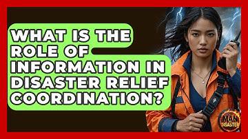 What Is The Role Of Information In Disaster Relief Coordination? - Man vs. Disaster