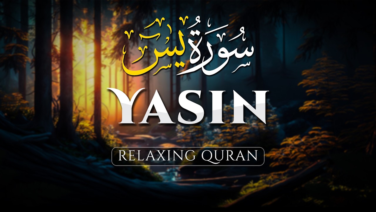 Surah Yasin (Yaseen) سورة يس Beautiful Calming Relaxing Voice - ALAA AQEL