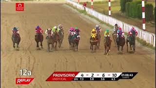 Vidéo de la course PMU MEDJOOL H.