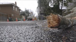 Celebrity How MLGW says it's preparing for more possible outages Thursday Profile