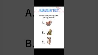 Guess the CAT MEME #funnyshorts #catmemes #shorts #memes