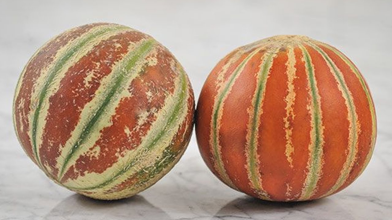 Melo Melo Melon Pan