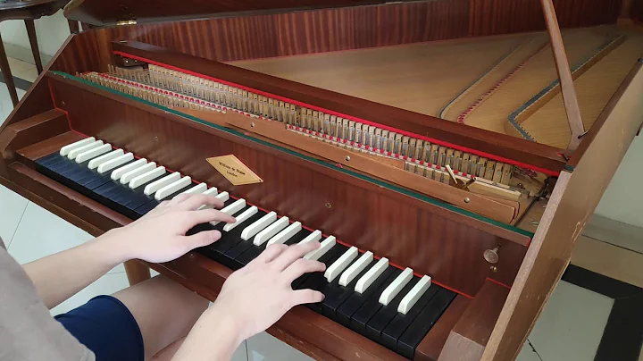 Tes harpsichord William de blaise