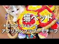 【かぎ針編み】＊猫ベッド＊アフリカンフラワーモチーフを繋げてミニクッションカバーを編んでみました。