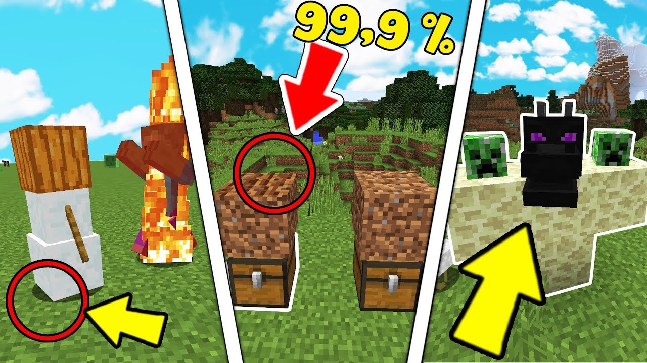 10 Cose Che Non Sai Su Minecraft