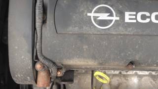 Шум Шестерней Грм Opel Zafira B 1.8Xer 2006