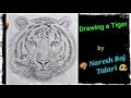 Drawing a tiger  by  naresh raj talari 
