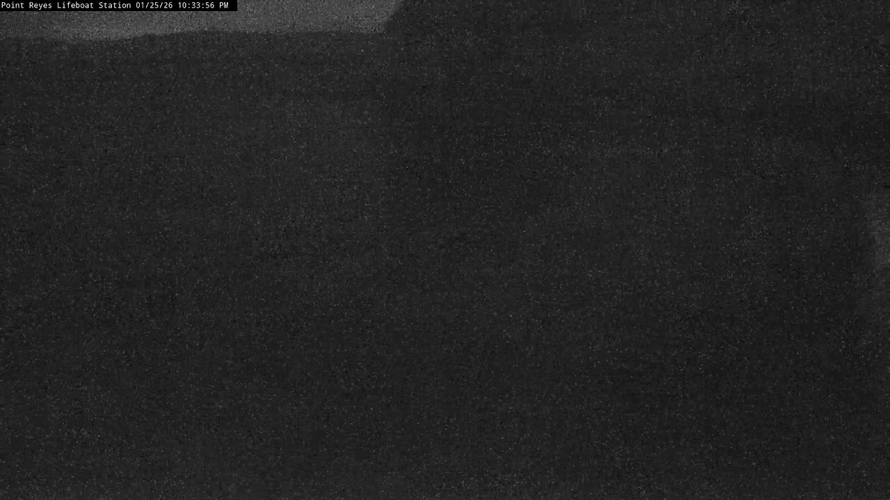 The Marine Mammal Center Live Stream Point Reyes National Seashore