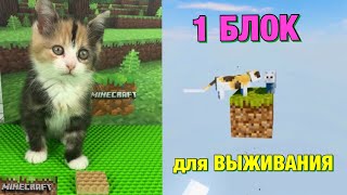 КАК ВЫЖИТЬ на 1 БЛОКЕ в МАЙНКРАФТ вместе с КОТЁНКОМ ?🧩🙀😱