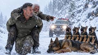 “Save the Puppies, Not Me,” the Homeless Old Man Begged the Veteran