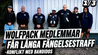 LÅNGA STRAFF FÖR BRÖDRASKAPET WOLFPACK MEDLEMMAR – VAPENHÄRVA OCH KONFLIKT MED BANDIDOS |TILLTALAD 1
