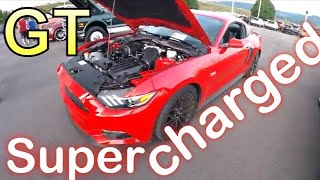 Weimer Ford Summer Cruise In drooling on the mustang