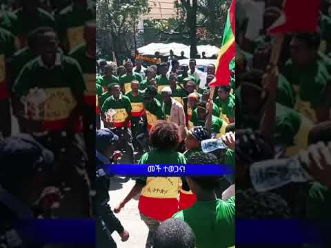 Amhara Fano Fano Amhara Shorts Ethiopianews Gonder