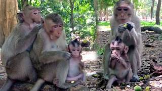 What's Happened When Baby Eleanor & Bean Find Food To Eat Together  | Awesome Animals Footage