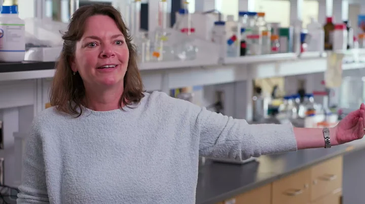 Neurodegenerative Disease and Aging Research at NEOMED