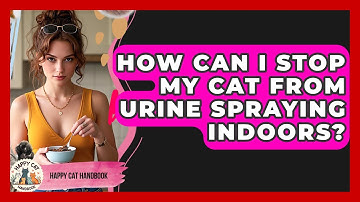 How Can I Stop My Cat From Urine Spraying Indoors? - Happy Cat Handbook