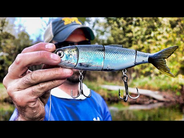 MUSKY FISHING AND PIKE CATCHING!! - River Float with Whopper Plopper and Savage  Gear Swimbait 