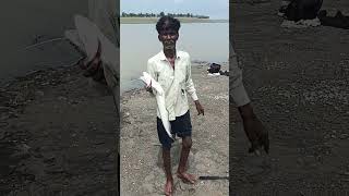 unbelievable#,shocking#,fish#,