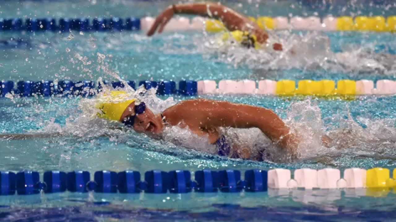 2014-2015 Delaware Athletics Team MVPs athletics quotes