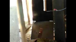 Me_H_70_ft_8.10.10.MOV