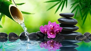 Relaxing Piano Music Bamboo Water Fountain, Sleep Music, Relaxing Music, Meditation Music