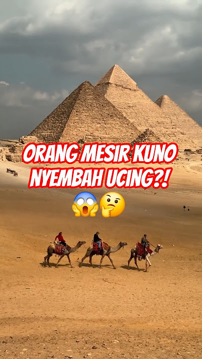 ORANG MESIR KUNO NYEMBAH KUCING!? 😱🤔 #shorts #egypt #mesir #trending #viral