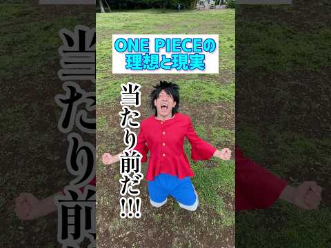 ONE PIECEの理想と現実【ルフィ】【ナミ】【当たり前だ】【麦わらの一味】