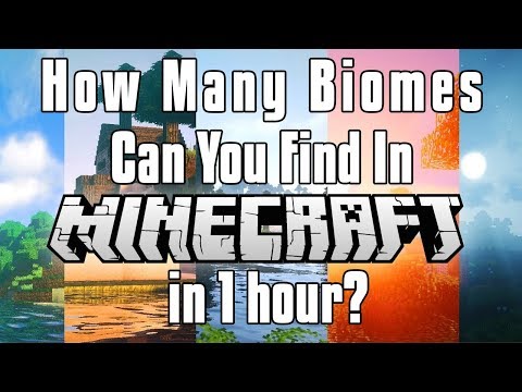 How Many Biomes Can You Find In Minecraft In 1 Hour?