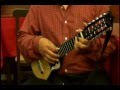 CHARANGO TOTAL- ritmos: saya, morenada, cueca y carnavalito - Sandro T. (Amaru) 2011
