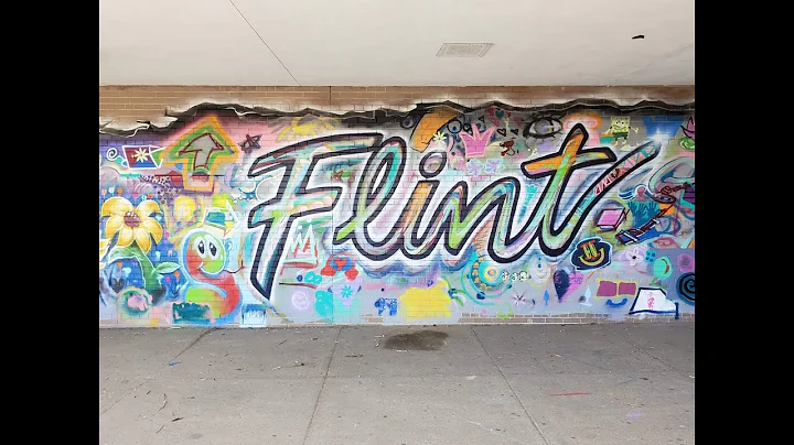 Sandra Branch on the Flint Public Art Project, Mur...