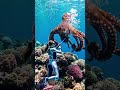 #fighting a giant octopus#ai video