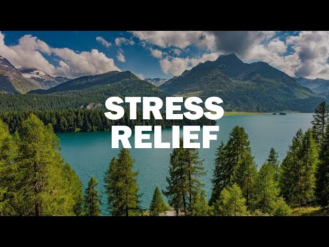 Video: U stresnom naprezanju?