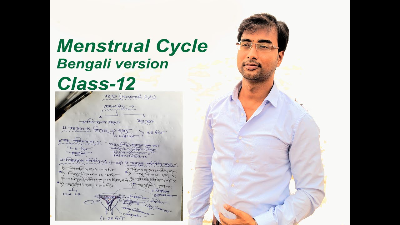 Menstrual Cycle Bengali Version Class 12 Asst Teacher Govt W