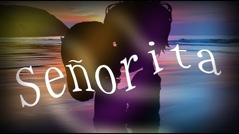 Señorita // MSP Music Video