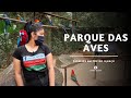 Passeios em Foz do Iguaçu - Parque das Aves | Combo Iguassu