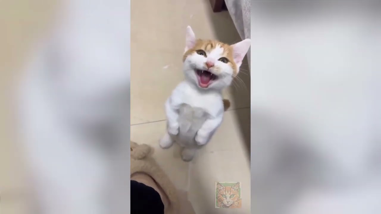 Jaw-Dropping Footage: Giant Animal Encounter in the Wild!