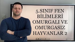 5. SINIF FEN BİLİMLERİ 3.ÜNİTE | OMURGALI VE OMURGASIZ HAYVANLAR SÜRÜNGENLER KUŞLAR MEMELİLER