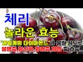 체리의 놀라운 효능 7가지 부작용 하루 한 줌의 행복 항산화물이 가득한 과일 