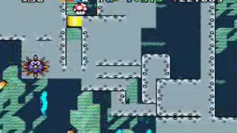 SMWC C3 2010 Zeldara