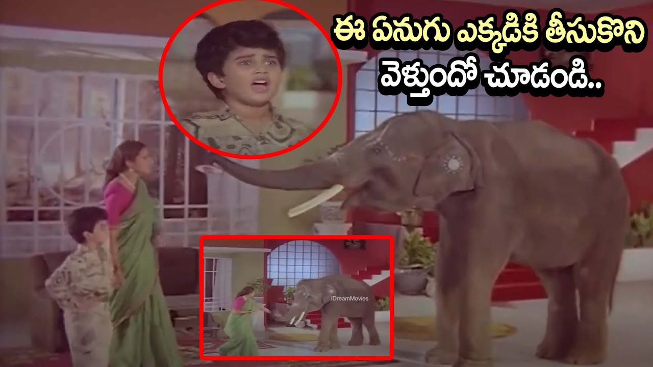 Shivaratri Telugu Movie latest Interesting scenes _ Sarath Babu,Shobhana | iDream Movie Clips