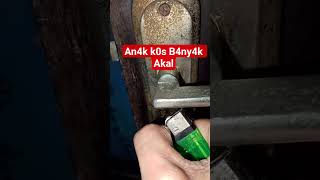 An4k k0s B4ny4k Akal #shorts #short #usa #mexico
